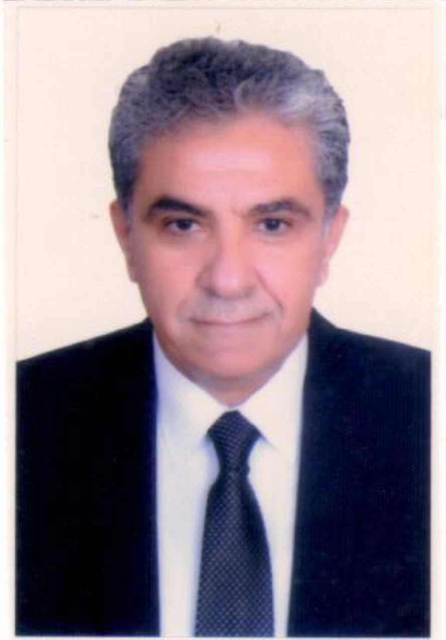 Picture of Khaled FAHMY