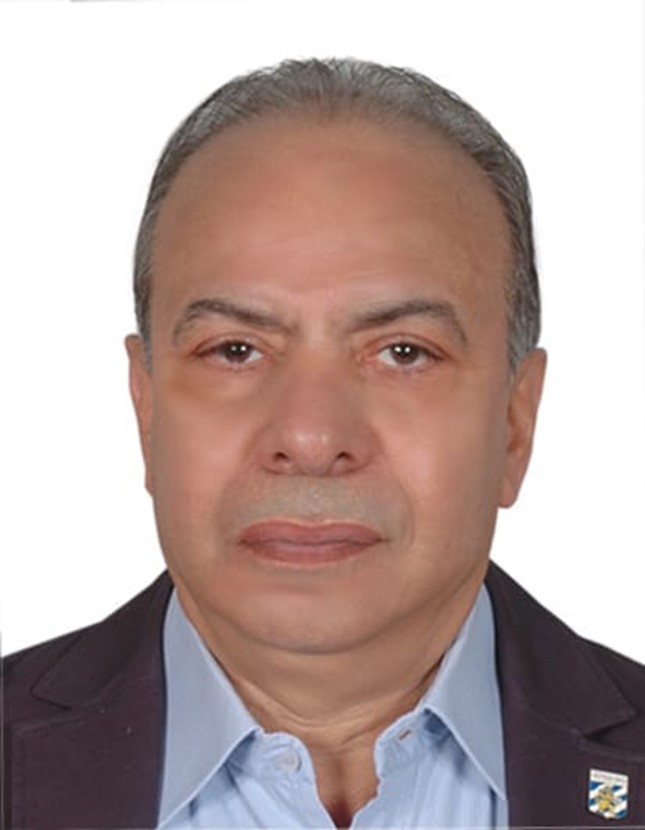 Picture of Waleed HAMZA